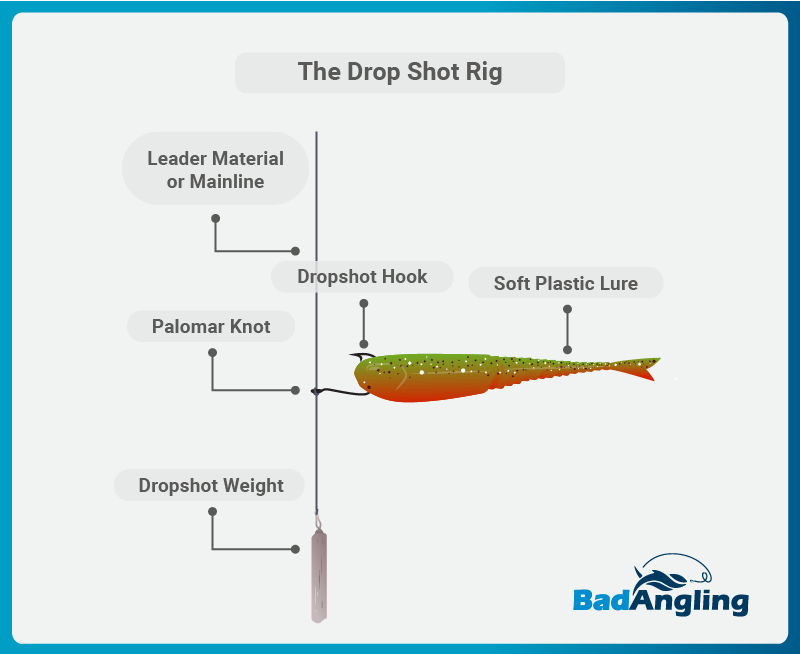 Fishing Fundamentals: Mastering the Drop Shot Rig for Bass