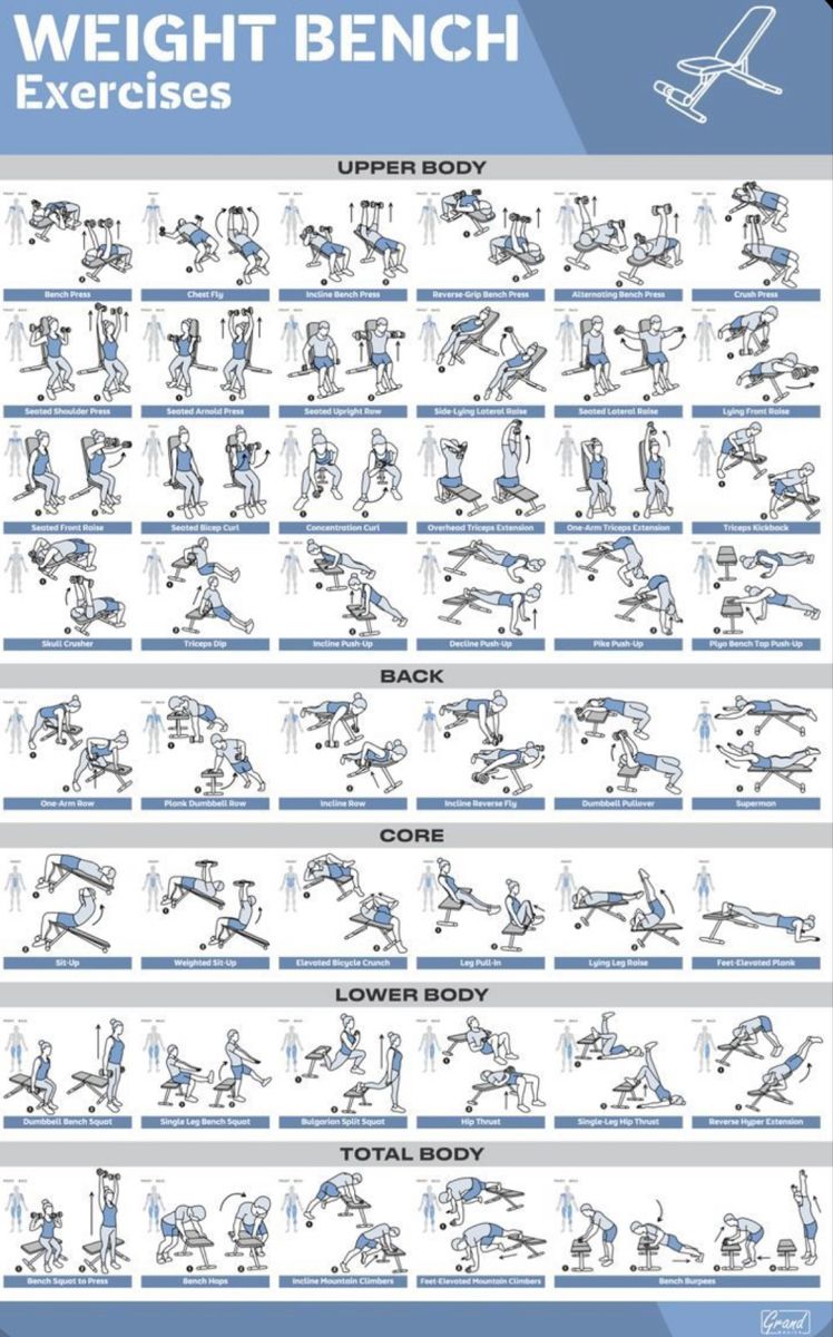 How to Use a Workout Bench Properly