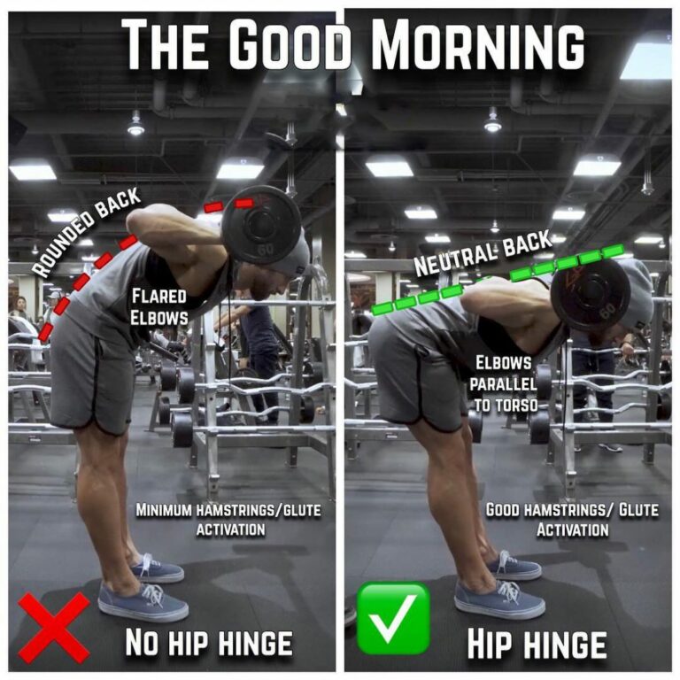 Good Mornings Exercise: Benefits Form & Muscles Worked