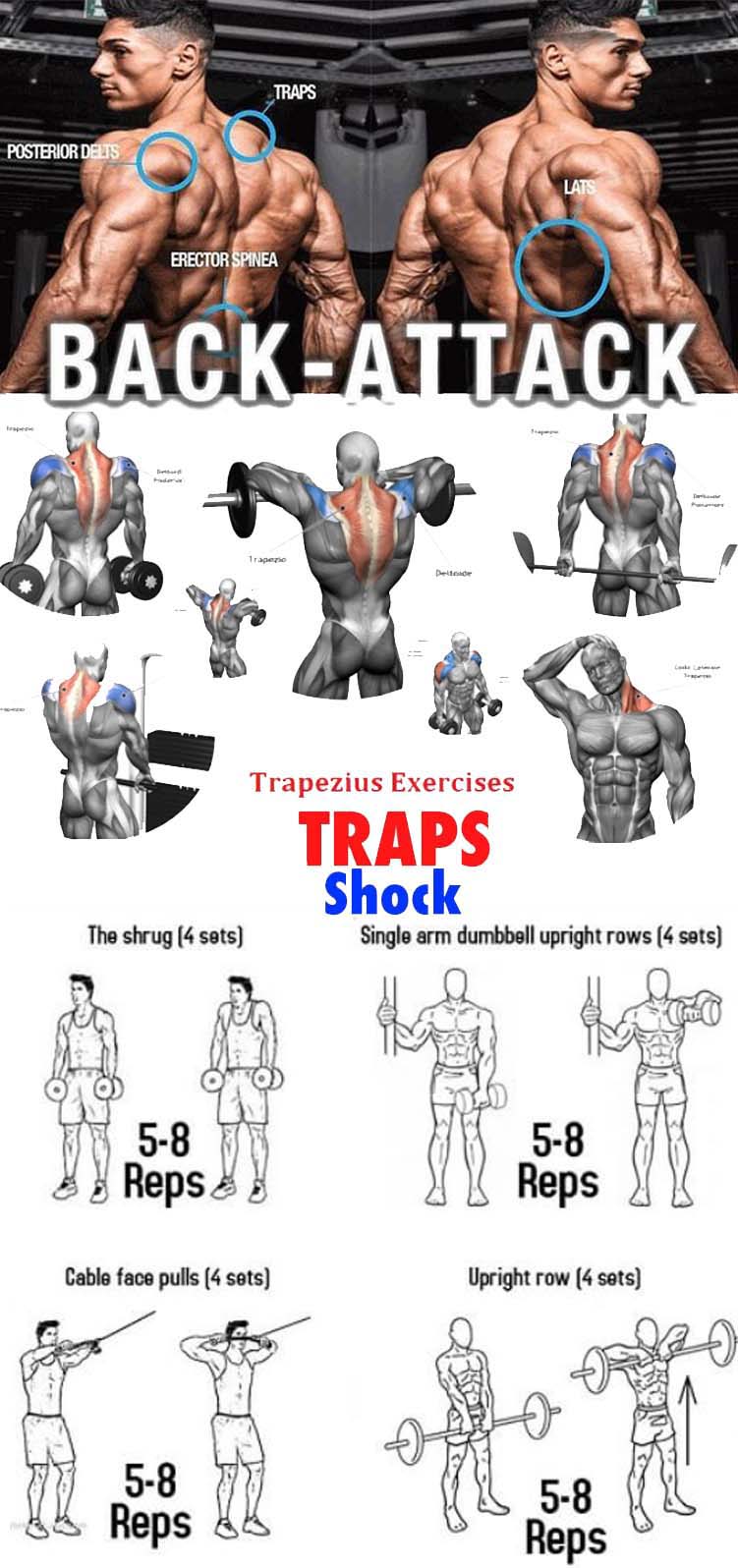 Best Workouts for Chest Lats Shoulders and Traps (Full Guide)