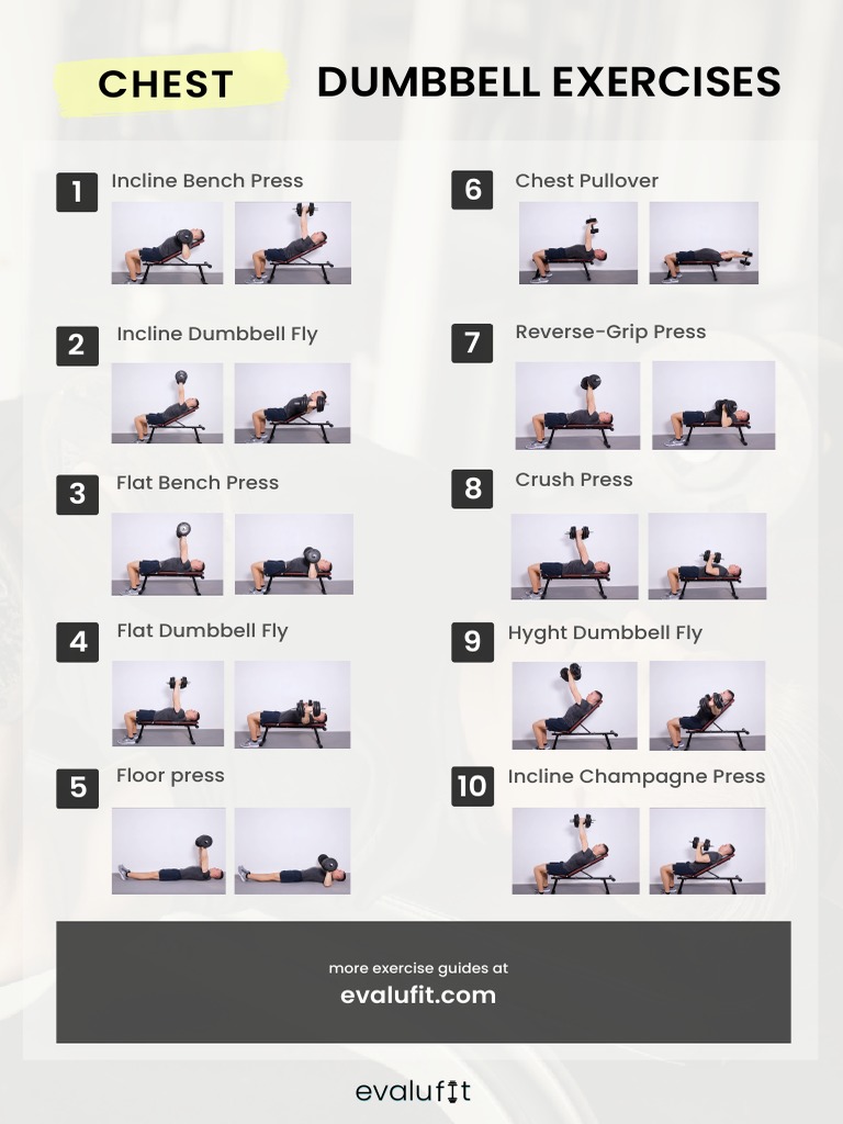 Best Dumbbell Chest Workouts – Step-by-Step