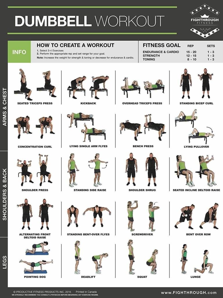 Best Back Workouts with Dumbbells – Full Guide
