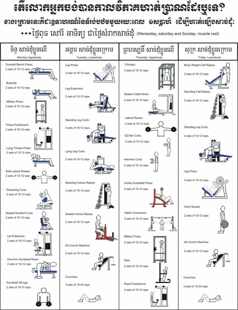 What Is a Workout Routine? Beginner Guide Explained
