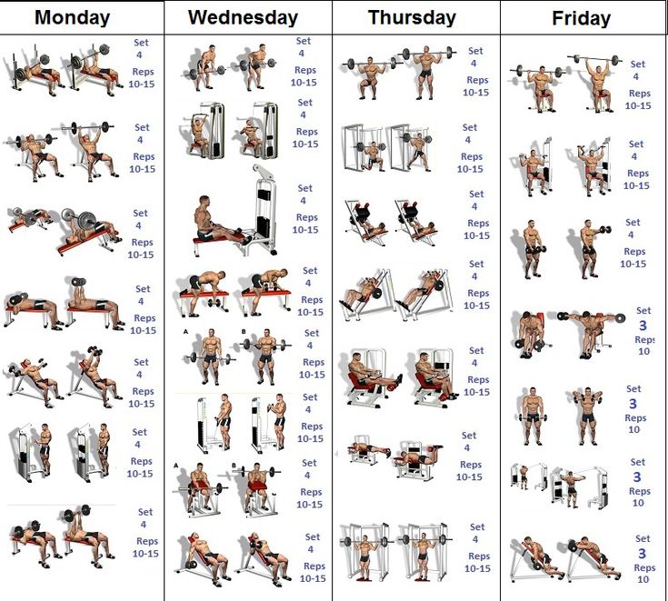 Ultimate Muscle Building Workout Schedule That Works