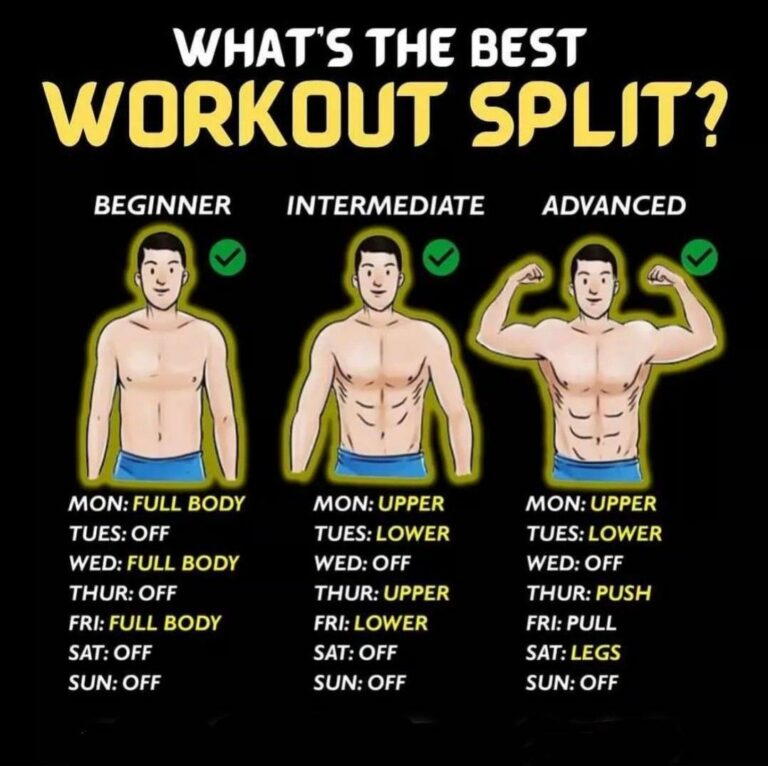 Is Full Body Workout Better Than Split?