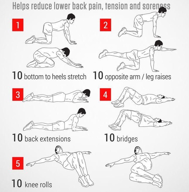 How to Do Back Workouts at Home or Gym