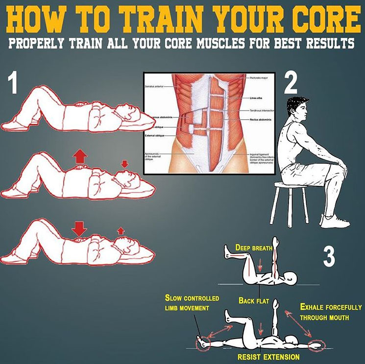 How to Train Pelvic Muscles & Core Properly