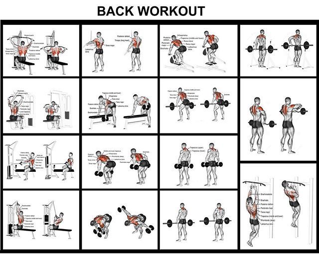 How to Workout Back – Complete Guide
