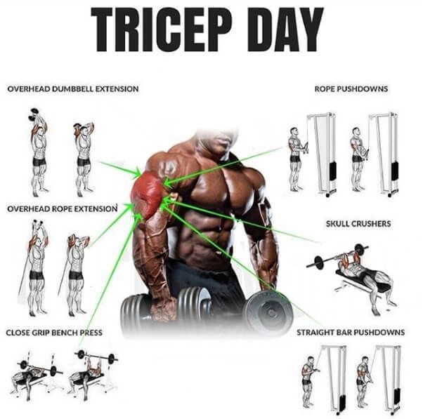 How Many Tricep Exercises Per Workout?