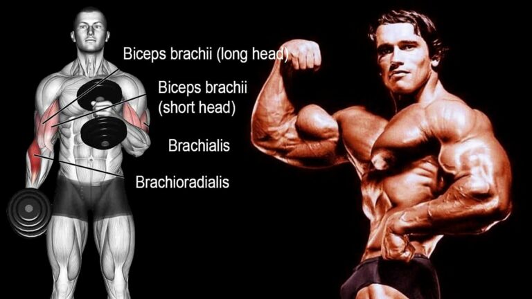 How to Train Brachialis & Brachioradialis – Hidden Muscles
