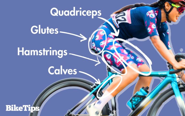 What Does Biking Work? – Muscle Guide