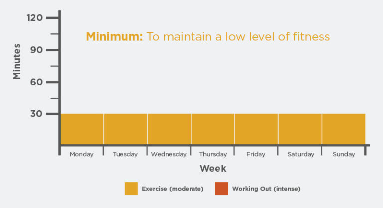 How Much Should You Workout Daily or Weekly?