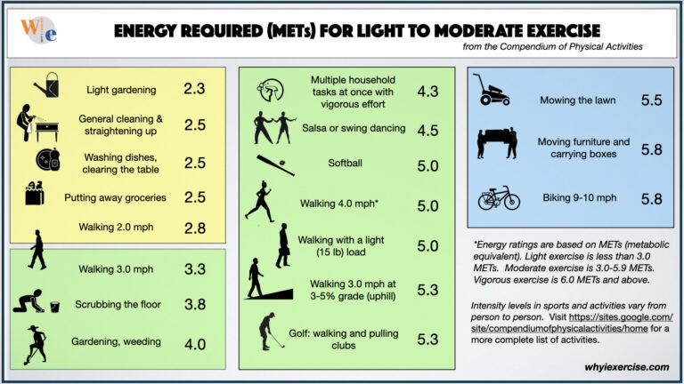 Light Workout vs Intense Training: What’s Better?