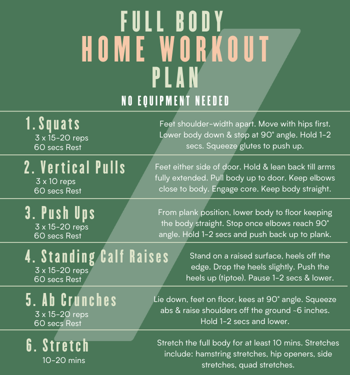 Best Daily Home Workout Routine (Beginner Friendly)