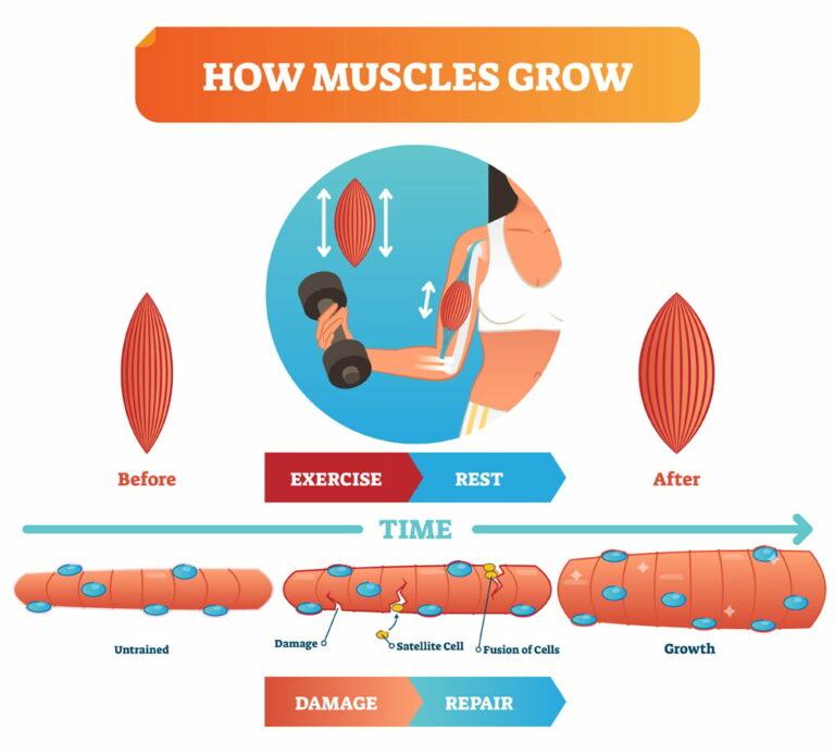 Is It Normal to Be Sore After Workout?