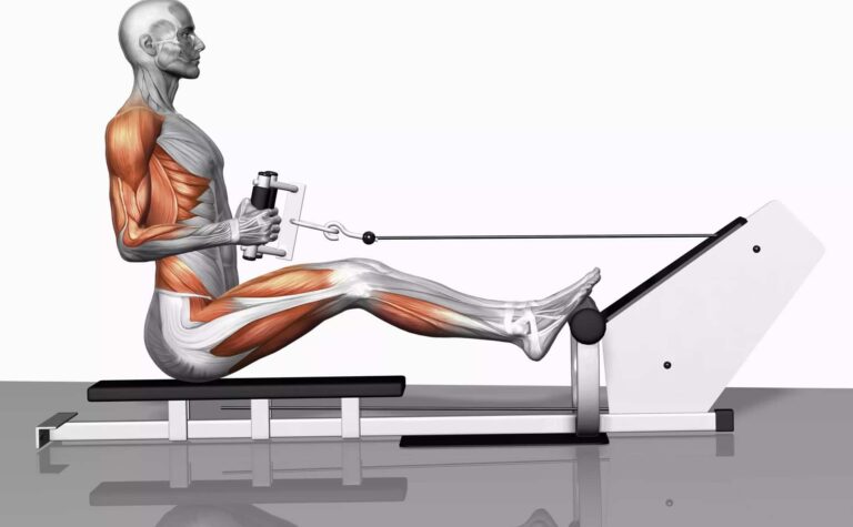 What Muscles Do Burpees Dips & Rowing Machines Work?