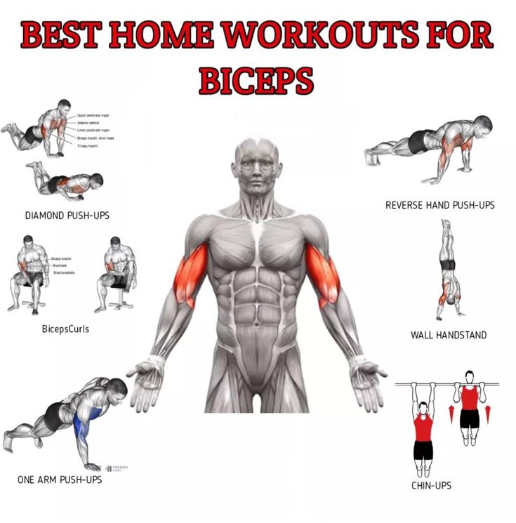 How Many Bicep Workouts Do You Need?