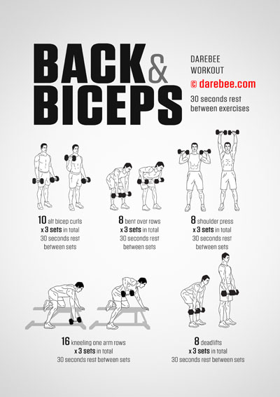 How Many Arm Back & Bicep Exercises Per Workout?