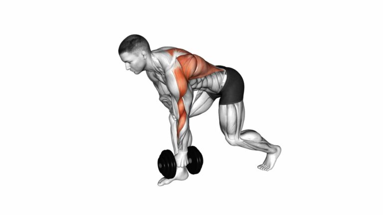 Best Back Workouts for Strength & Size