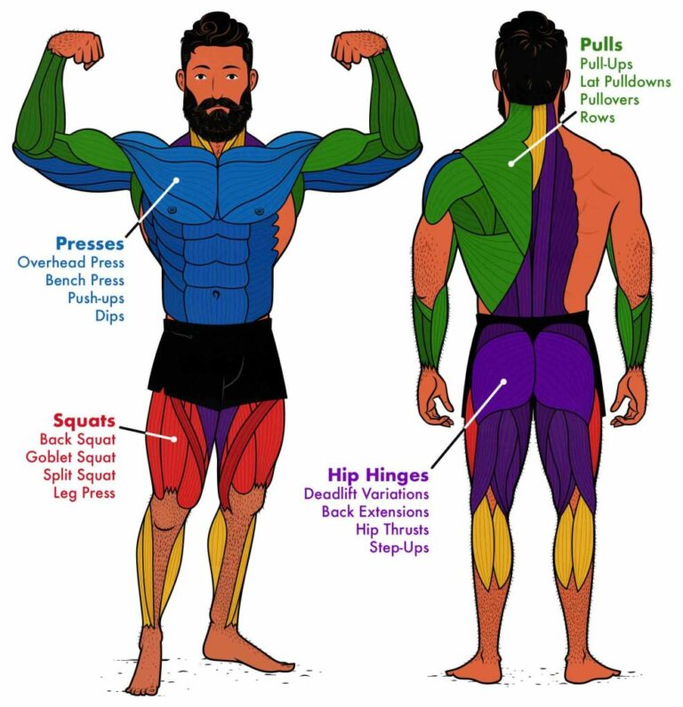 How Many Exercises Per Workout? – Back Legs & More