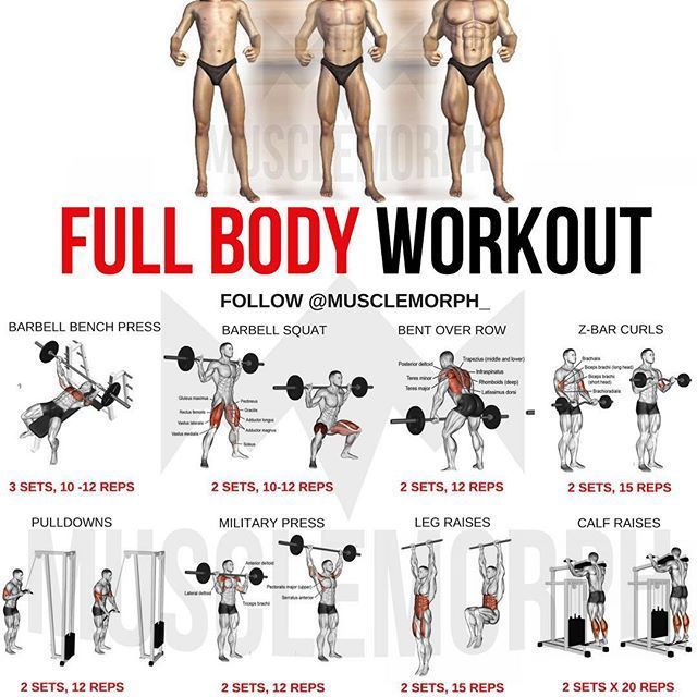 Full Body Workout Every Day: Smart or Risky?