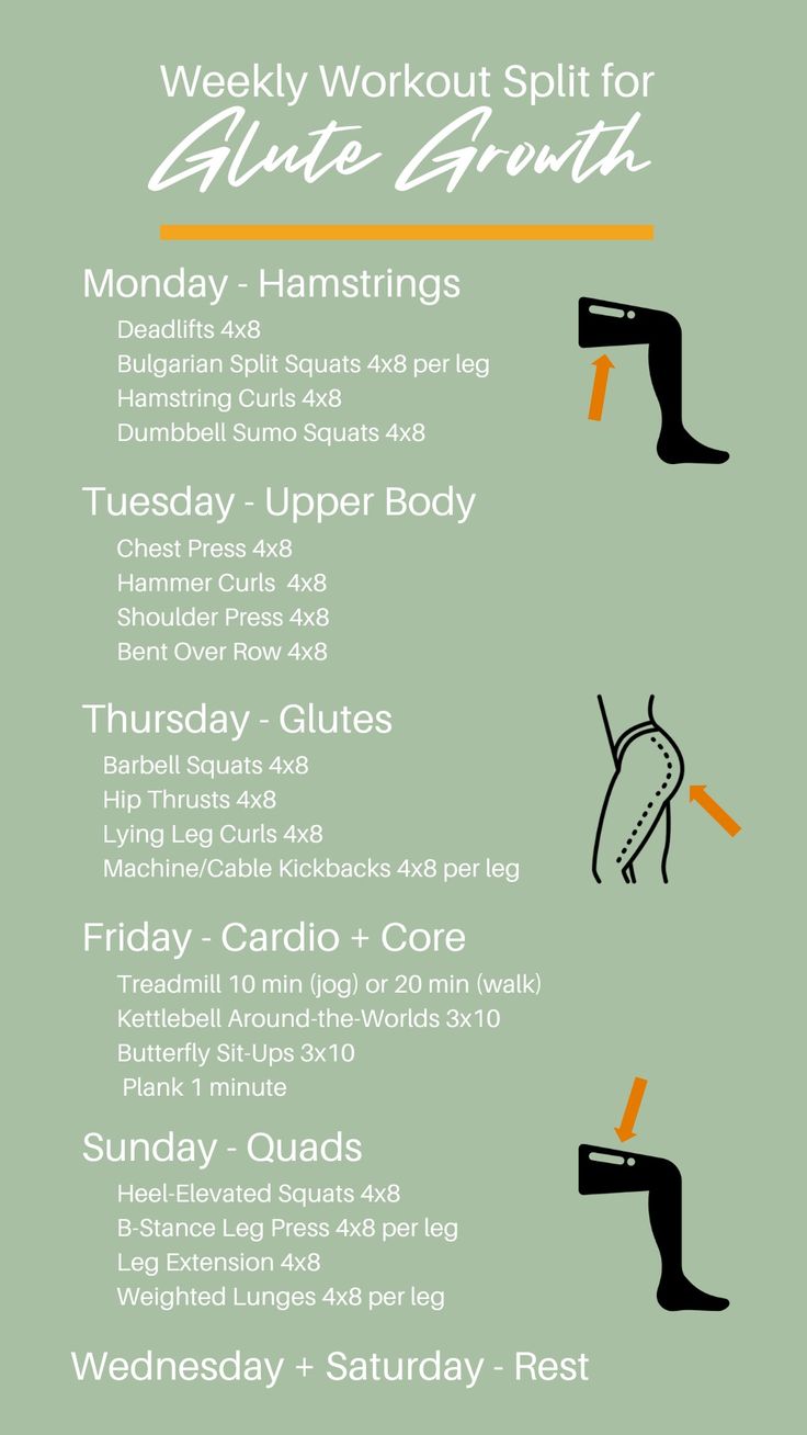 How Many Glute Exercises Per Workout?