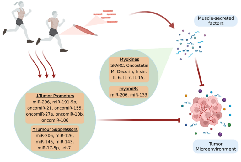 Can Pre-Workout Cause Cancer? Myth vs Science
