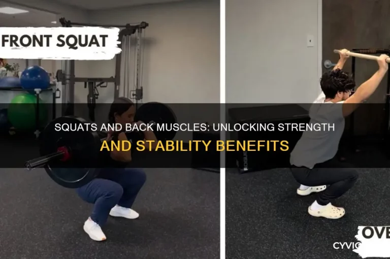 Do Squats Work Your Back or Just Legs?