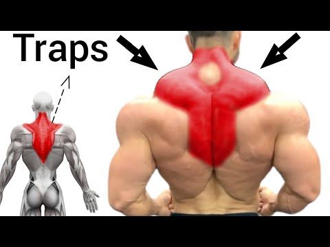 How to Train Traps & Upper Back Effectively