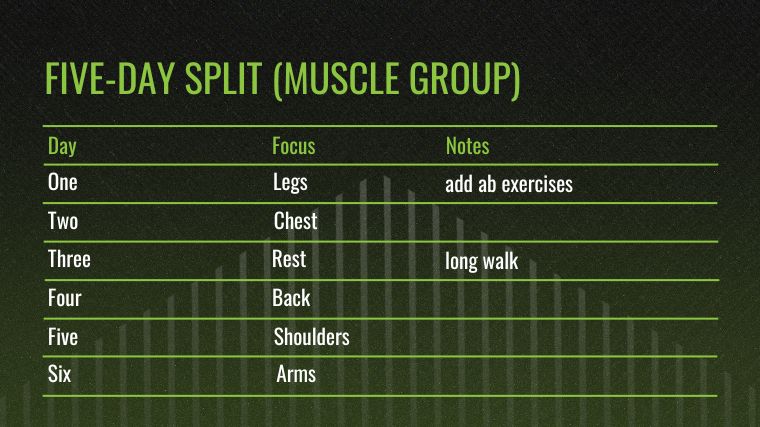 How to Divide Workout Days for Maximum Muscle Growth