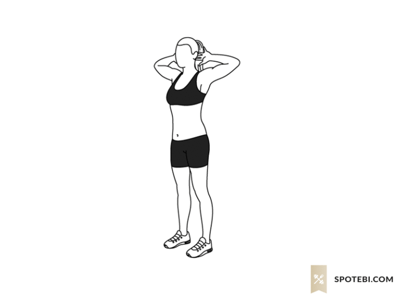What Do Good Mornings Work? – Muscle Guide