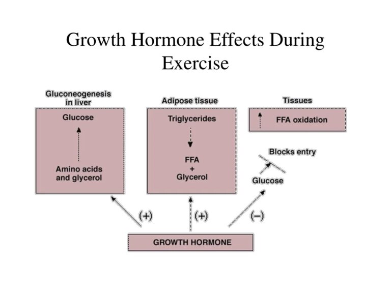 Can Pre-Workout Affect Growth or Hormones?