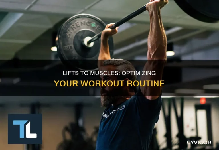How Many Lifts Per Session Build Muscle Fast?