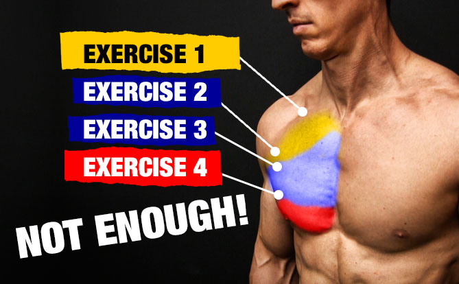 How Many Chest Exercises Per Workout?