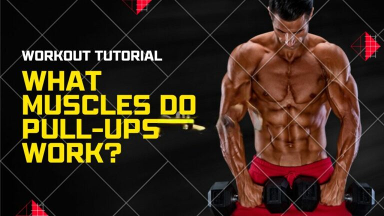 What Do Pull-Ups Work? – Muscle Guide