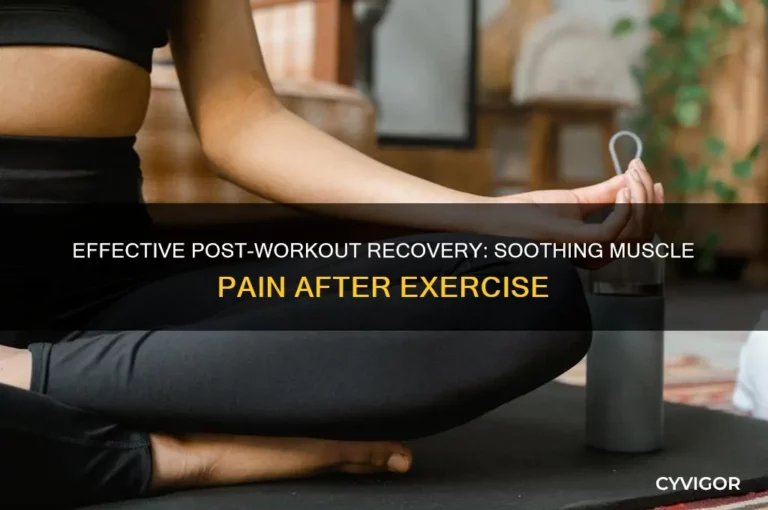 How to Reduce Muscle Pain After Workout (Proven Methods)