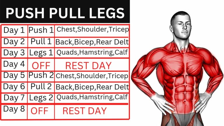 What Is PPL Workout? – Push Pull Legs Guide