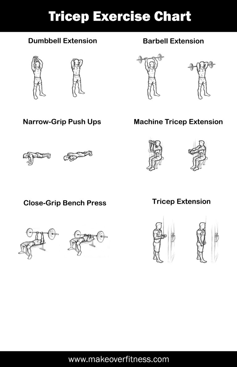 How Many Ab Bicep & Tricep Exercises Per Workout?