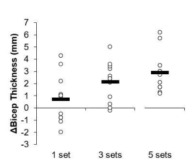 What’s a Good Workout Volume for Muscle Growth?