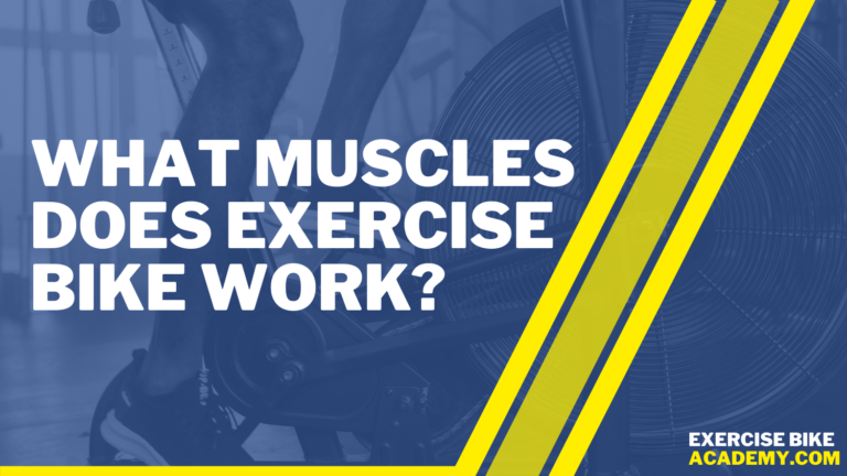 What Does Exercise Bike Work?