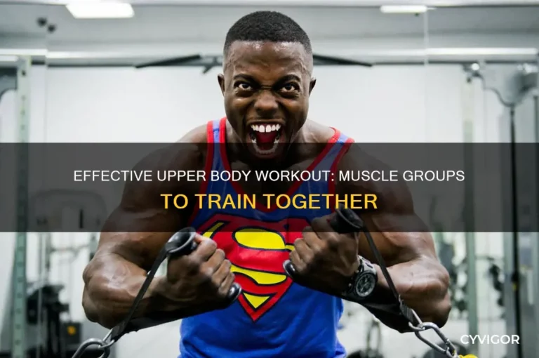 What Upper Body Muscles Should You Train Together?