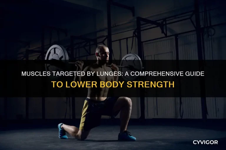 What Do Lunges Work? – Muscle Guide