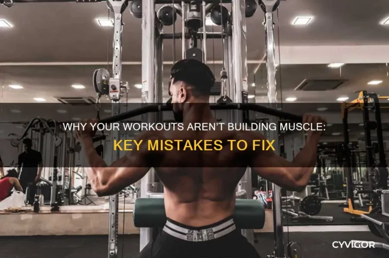 Why You’re Not Gaining Muscle Even Though You Workout