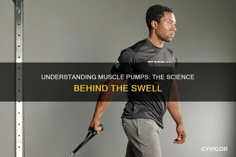 Do Muscles Swell After Workout? (Pump Explained)